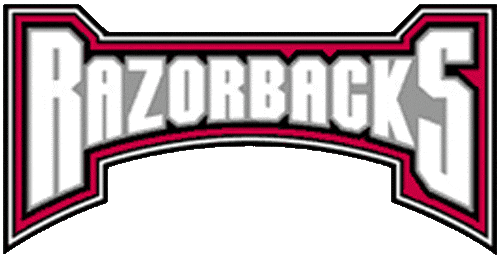 Arkansas Razorbacks 2001-2008 Wordmark Logo iron on paper